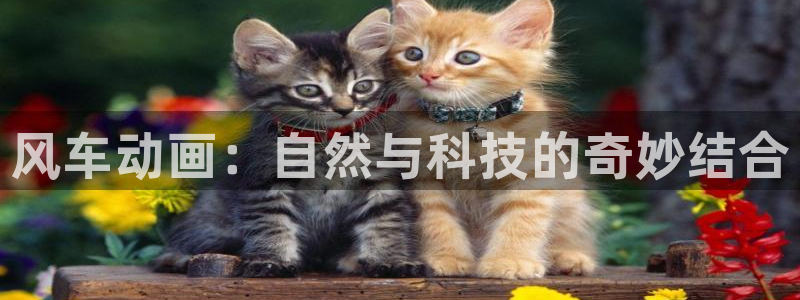 omofun动漫.：风车动画：自然与科技的奇妙结合