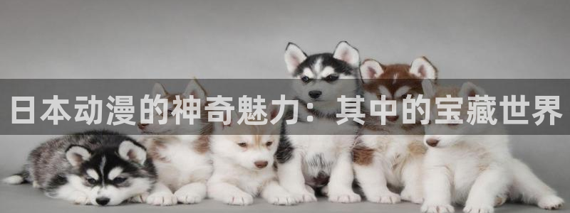 omofunpc：日本动漫的神奇魅力：其中的宝藏世界