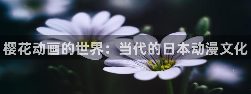 omofun 宕卧：樱花动画的世界：当代的日本动漫文化
