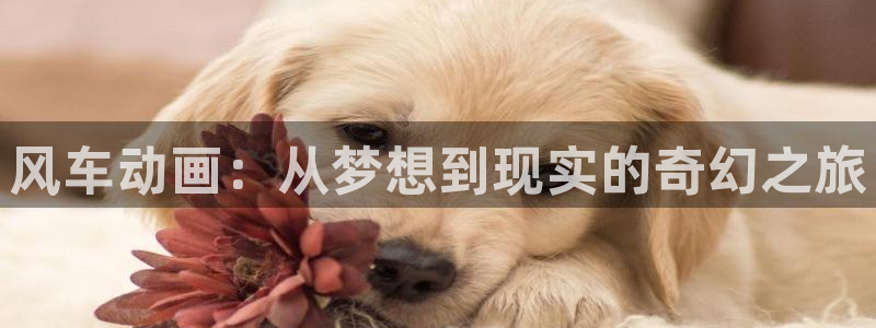 omofun动画网：风车动画：从梦想到现实的奇幻之旅