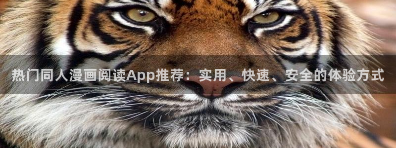 omofun动漫官网网页版入口：热门同人漫画阅读App推荐：实用、快速、安全的体验方式