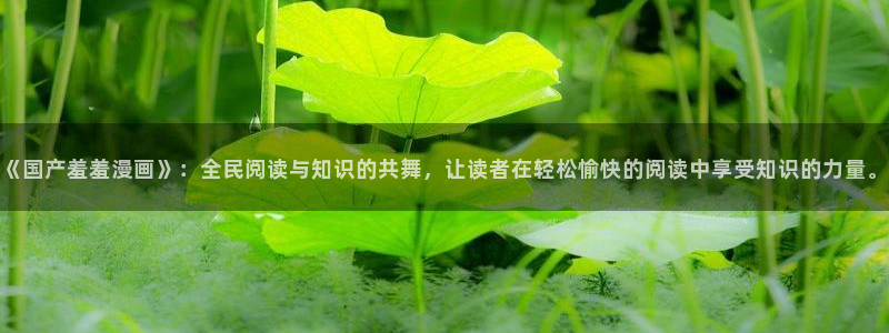 omofun最新下载：《国产羞羞漫画》：全民阅读与知识的共舞，让读者在轻松愉快的阅读中享受知识的力量。